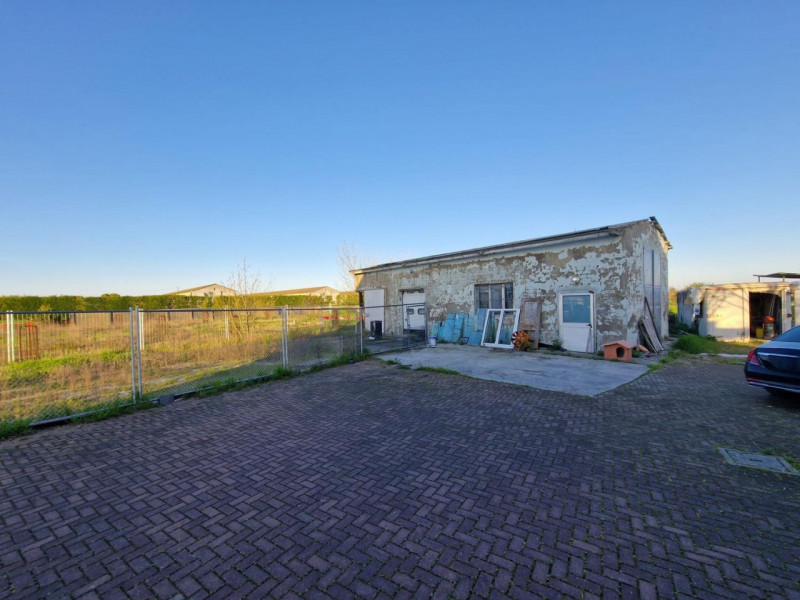 immagine annuncio 6 di 10