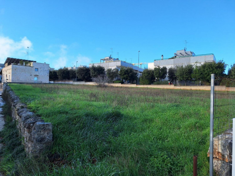 immagine annuncio 3 di 10