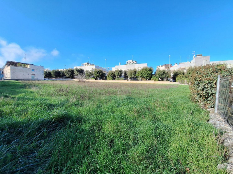 immagine annuncio 8 di 10