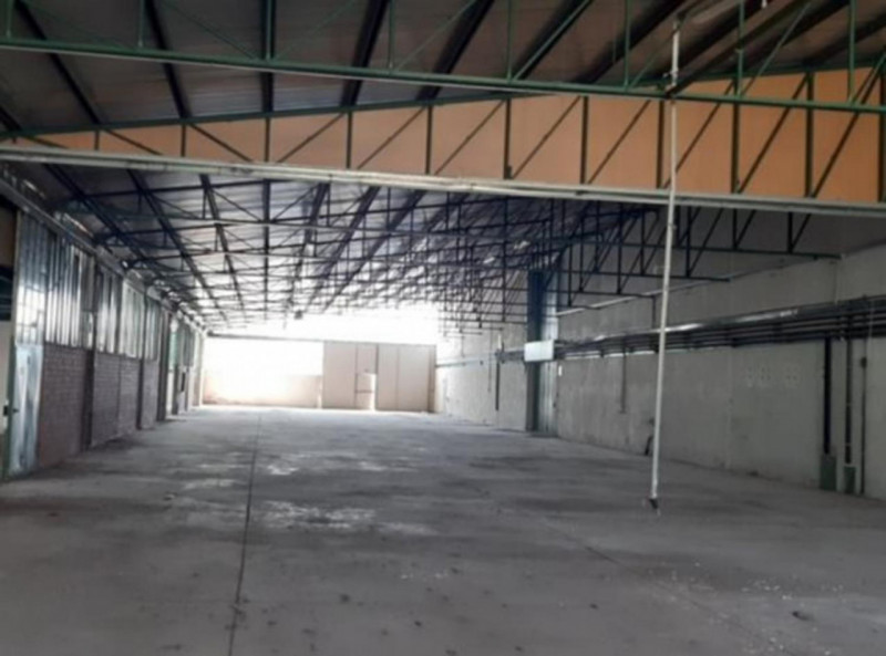 immagine annuncio 6 di 10