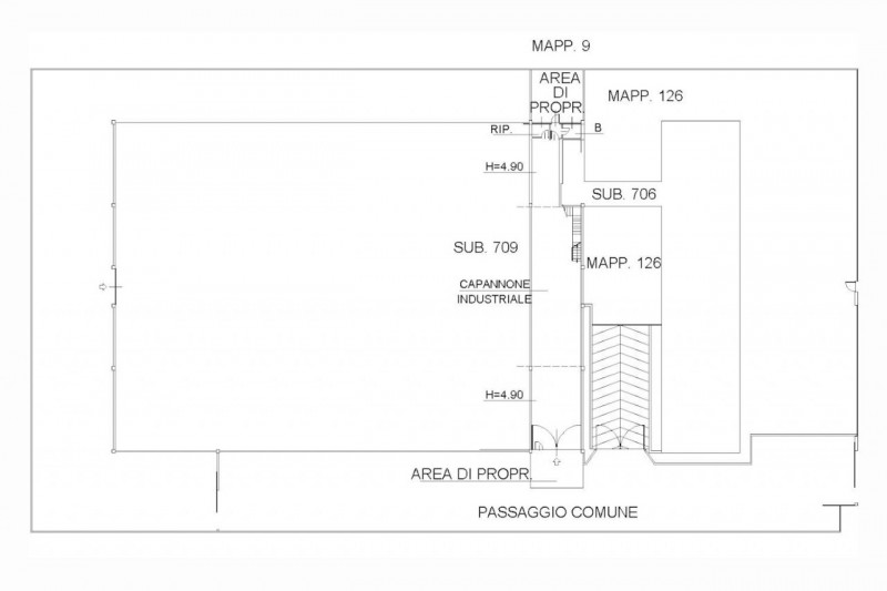 immagine annuncio 2 di 10