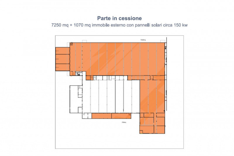 immagine annuncio 4 di 7