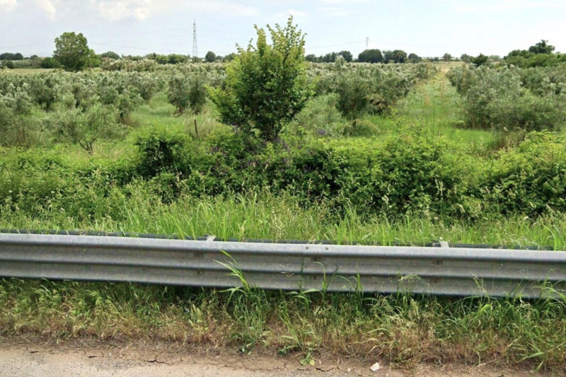immagine annuncio 4 di 10