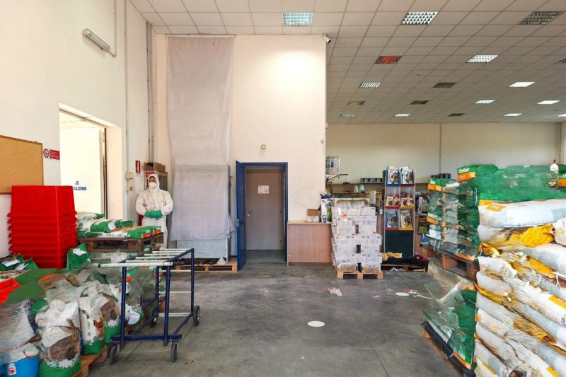 immagine annuncio 5 di 10