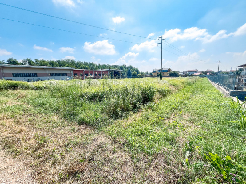 immagine annuncio 5 di 10