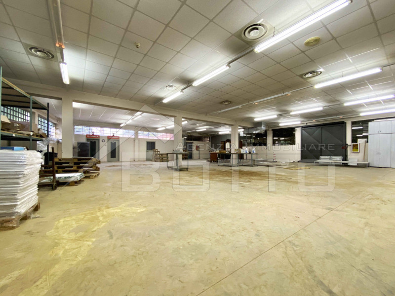 immagine annuncio 3 di 6