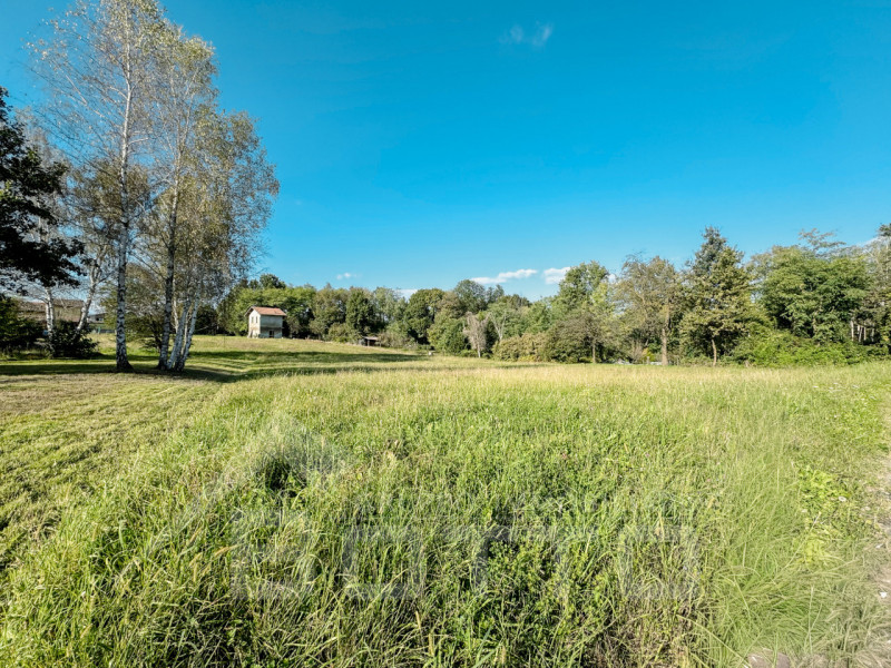 immagine annuncio 3 di 8