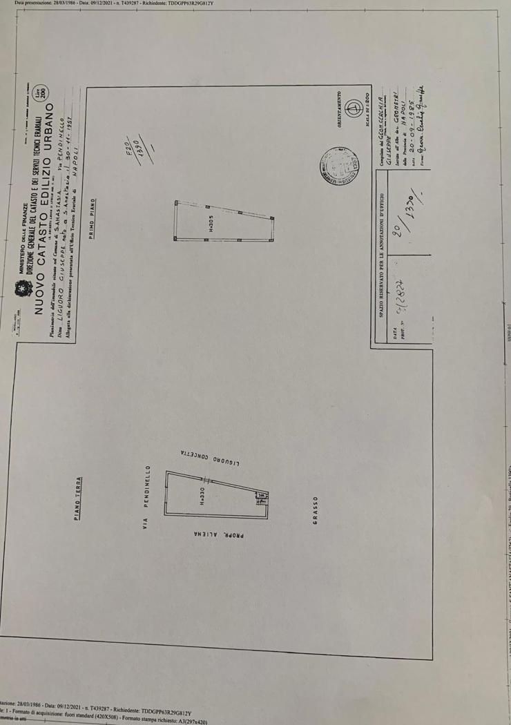 immagine annuncio 1 di 2