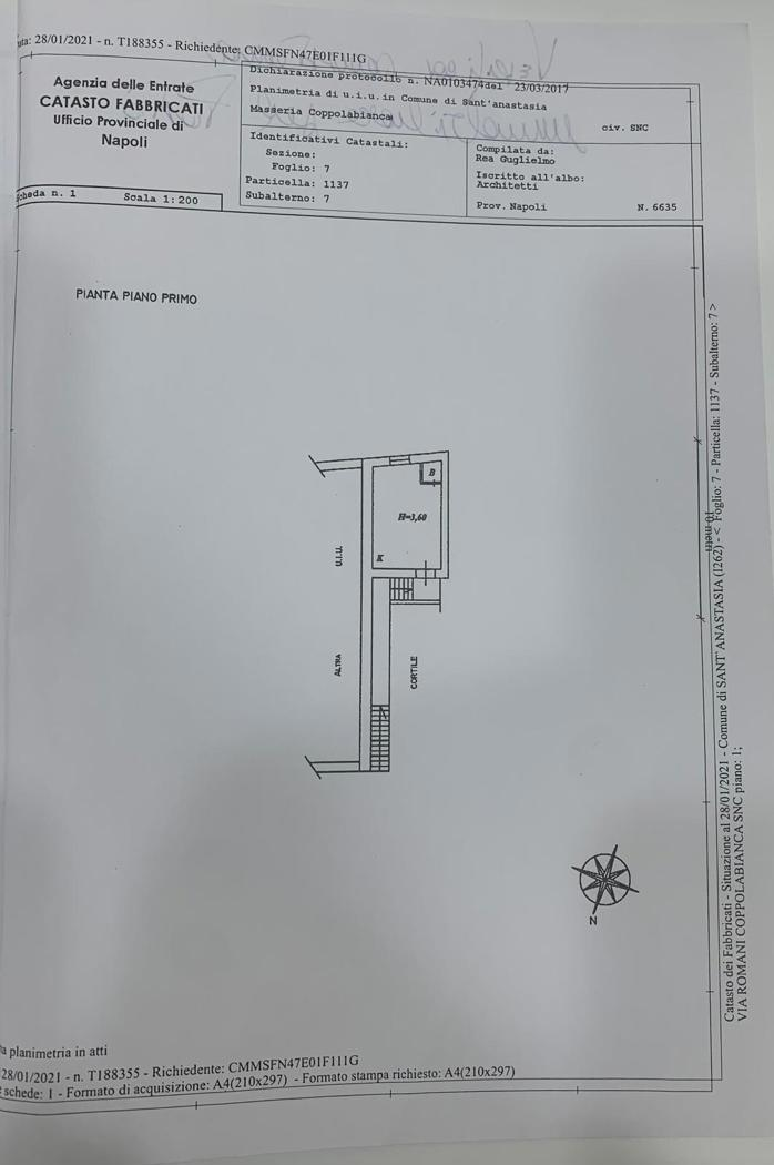 immagine annuncio 1 di 7