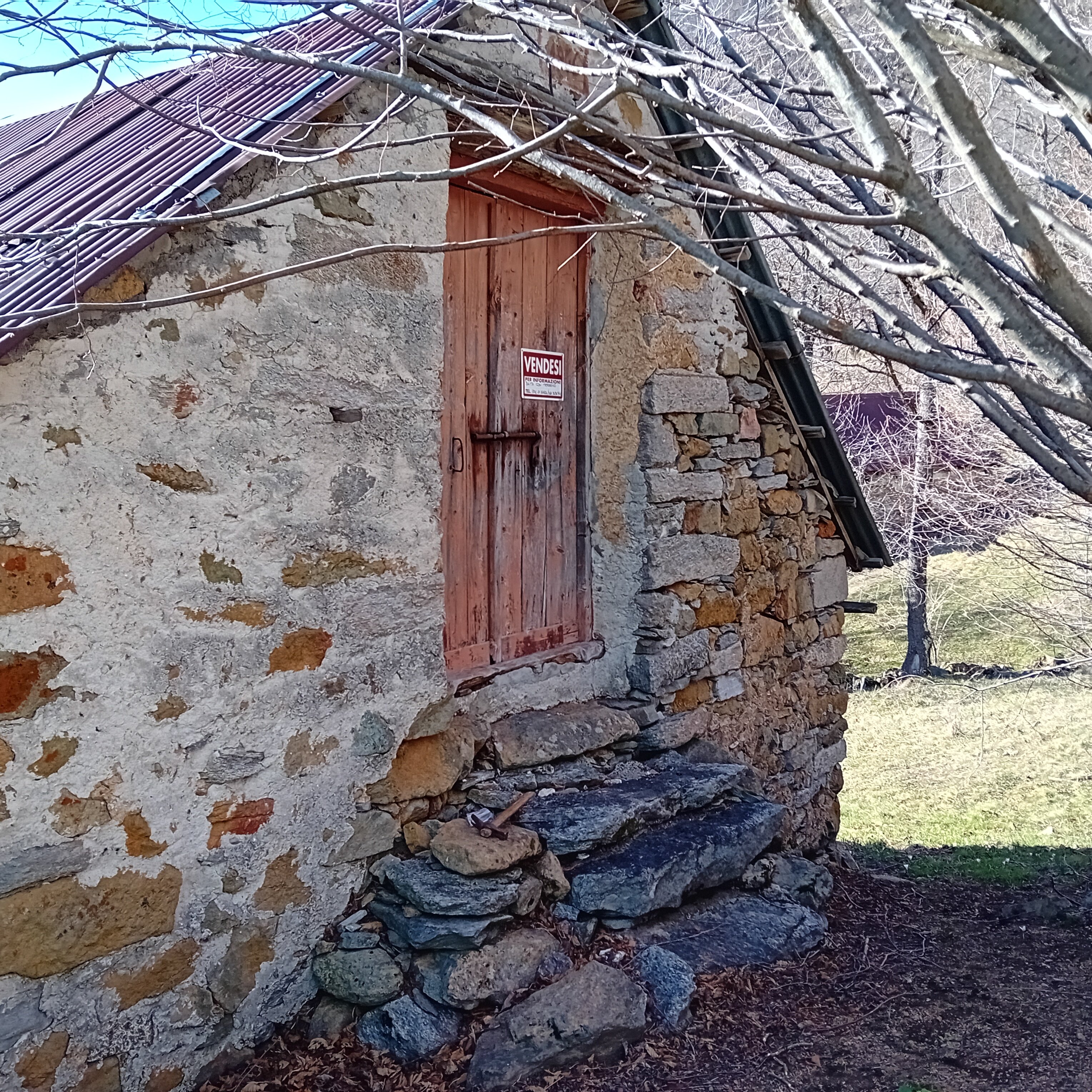 immagine annuncio 2 di 4