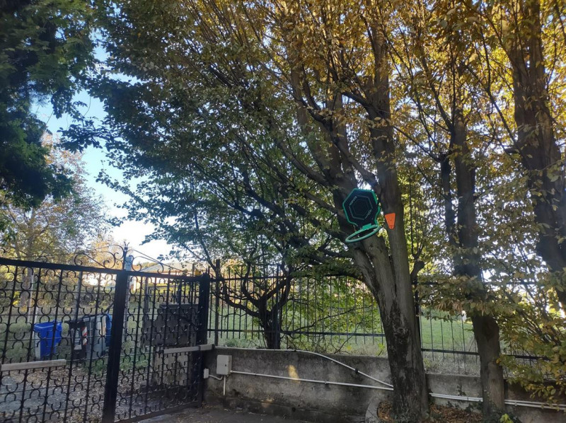 immagine annuncio 9 di 10