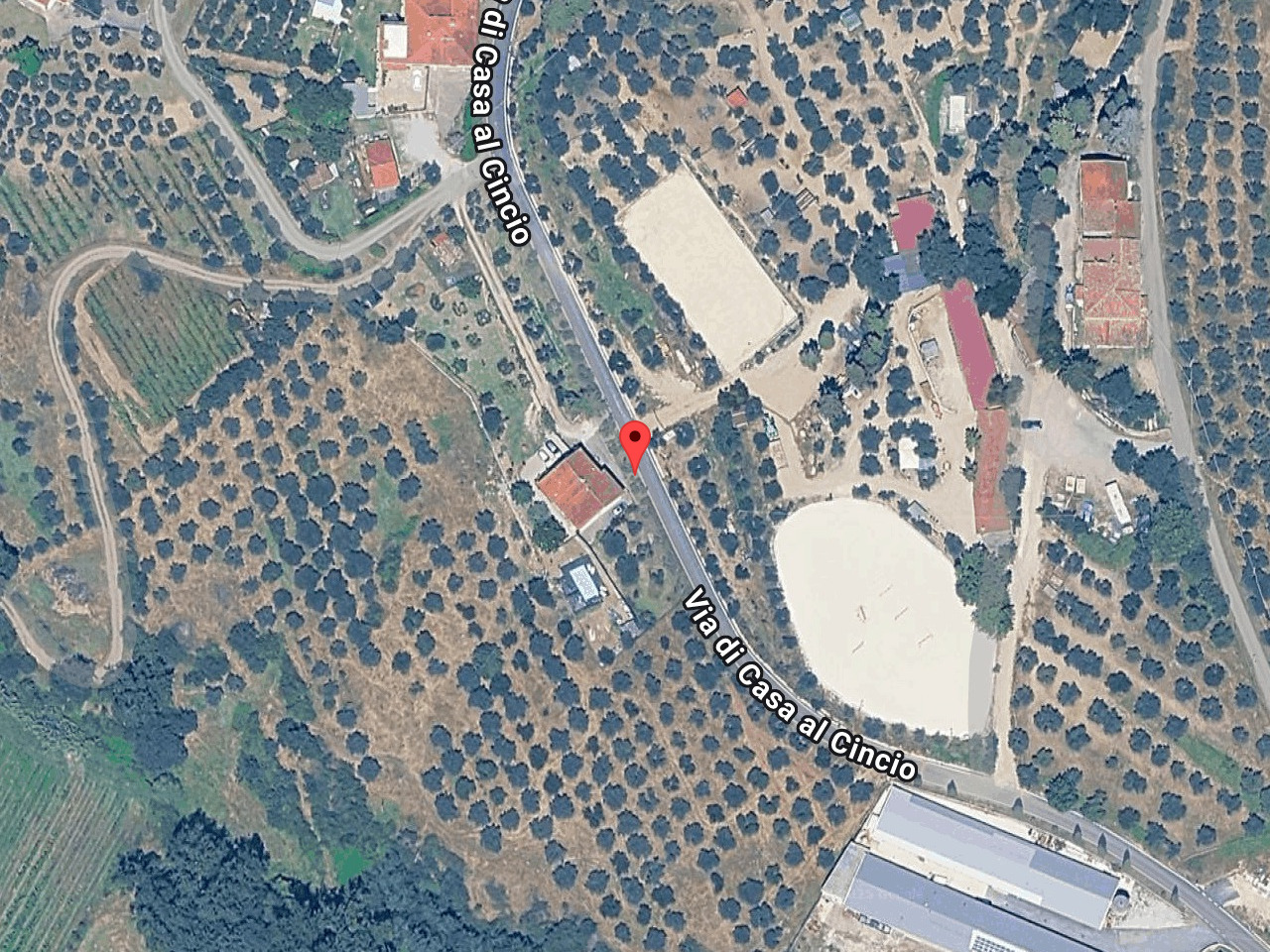 immagine annuncio 2 di 10