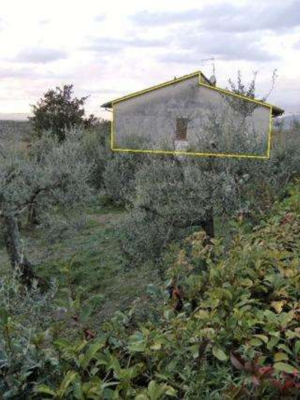 immagine annuncio 6 di 10