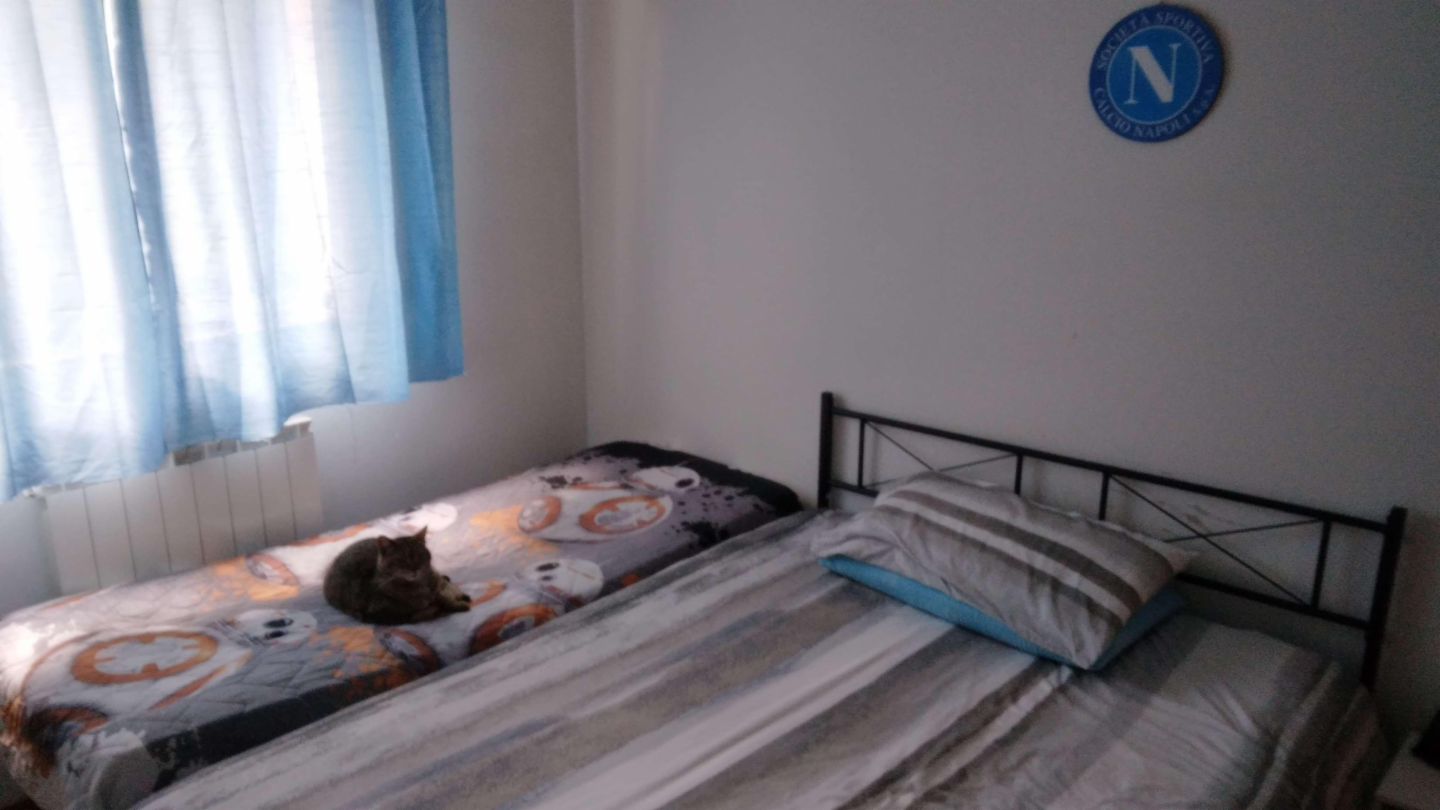 immagine annuncio 8 di 10