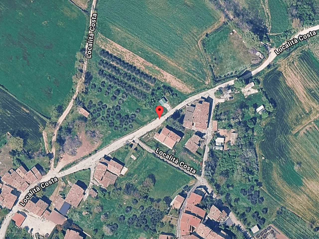 immagine annuncio 1 di 10