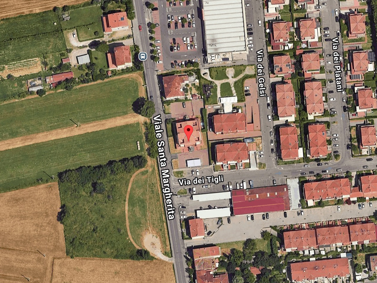 immagine annuncio 1 di 2