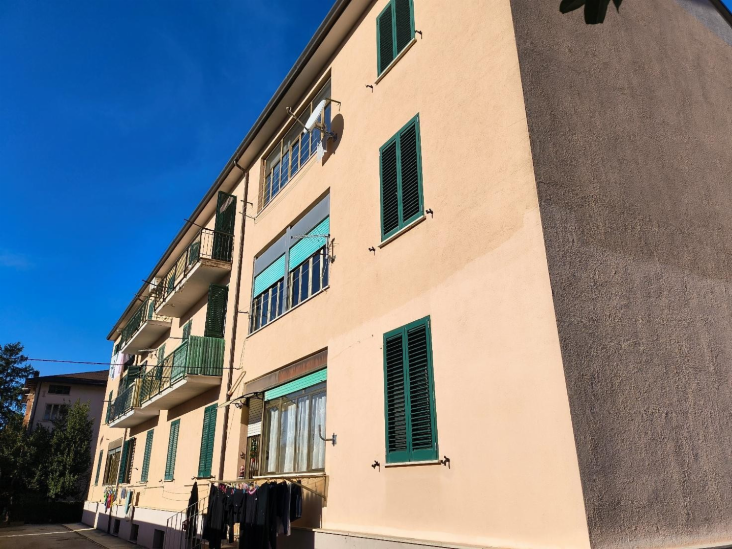 immagine annuncio 3 di 6