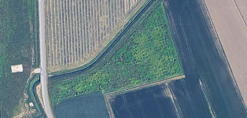 immagine annuncio 3 di 6