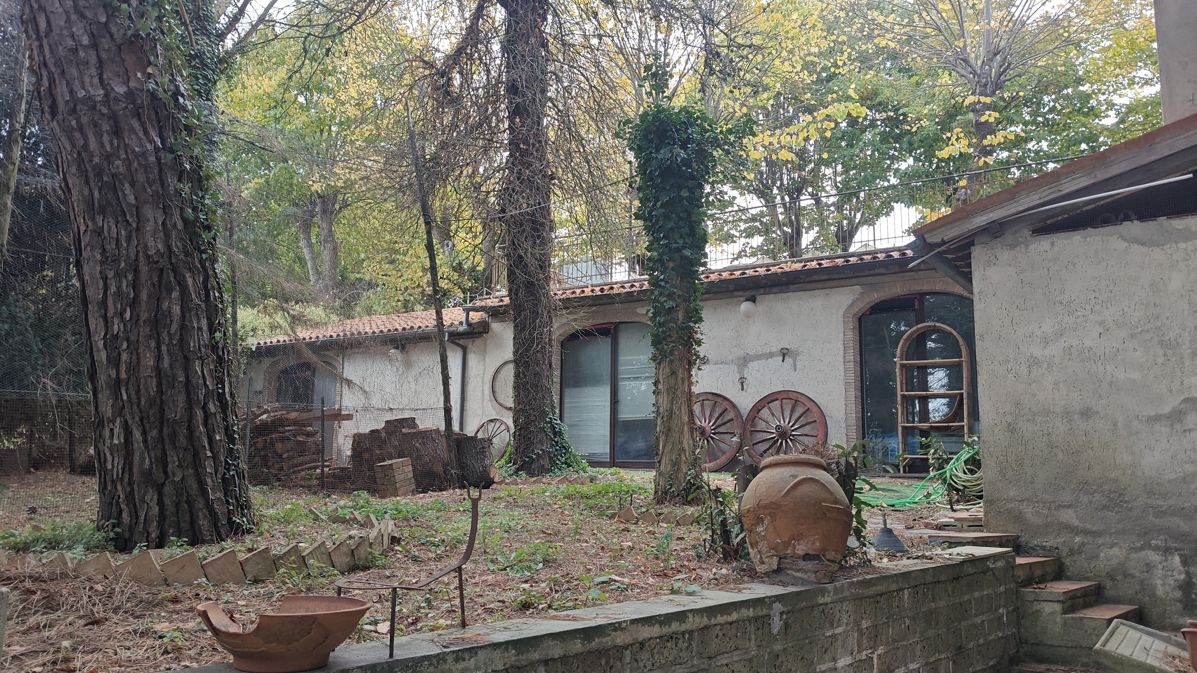 immagine annuncio 2 di 7