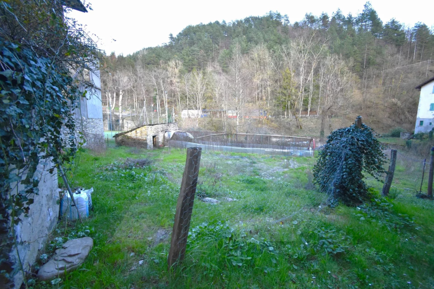 immagine annuncio 1 di 10