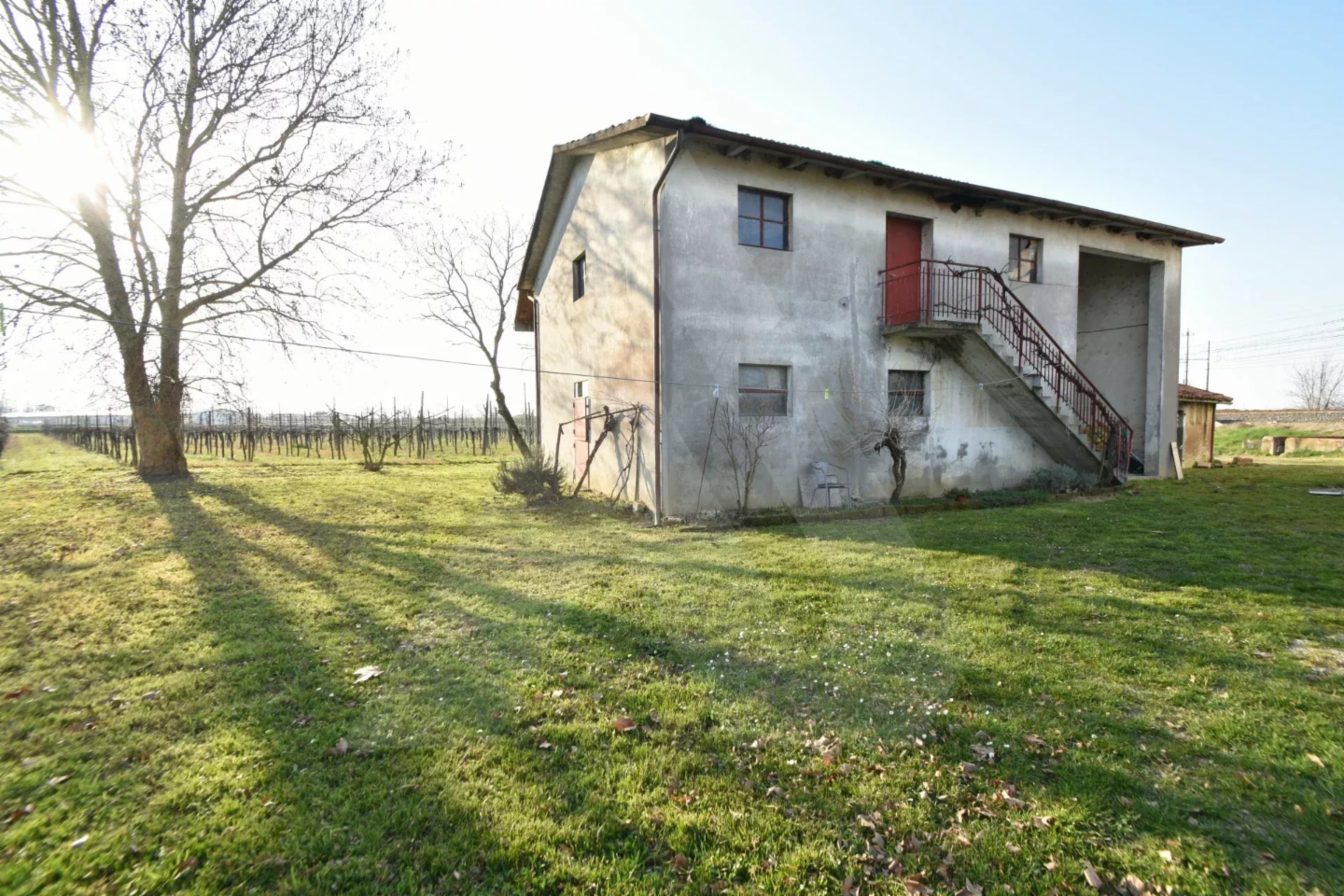 immagine annuncio 5 di 10