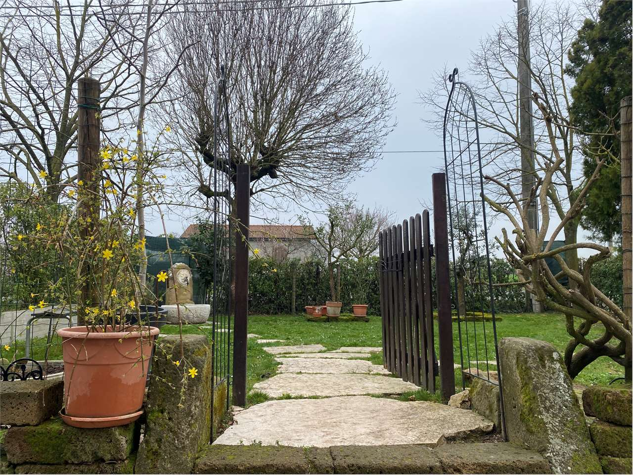 immagine annuncio 7 di 10