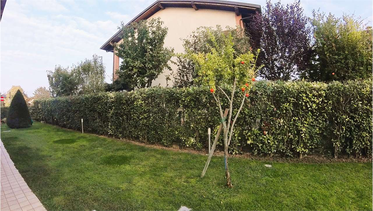 immagine annuncio 2 di 10