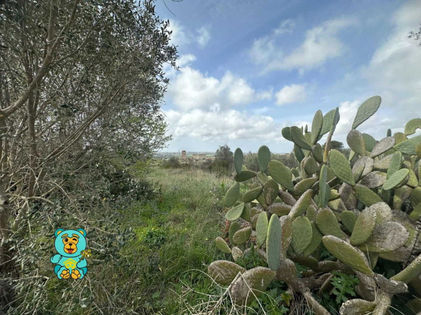 immagine annuncio 3 di 10