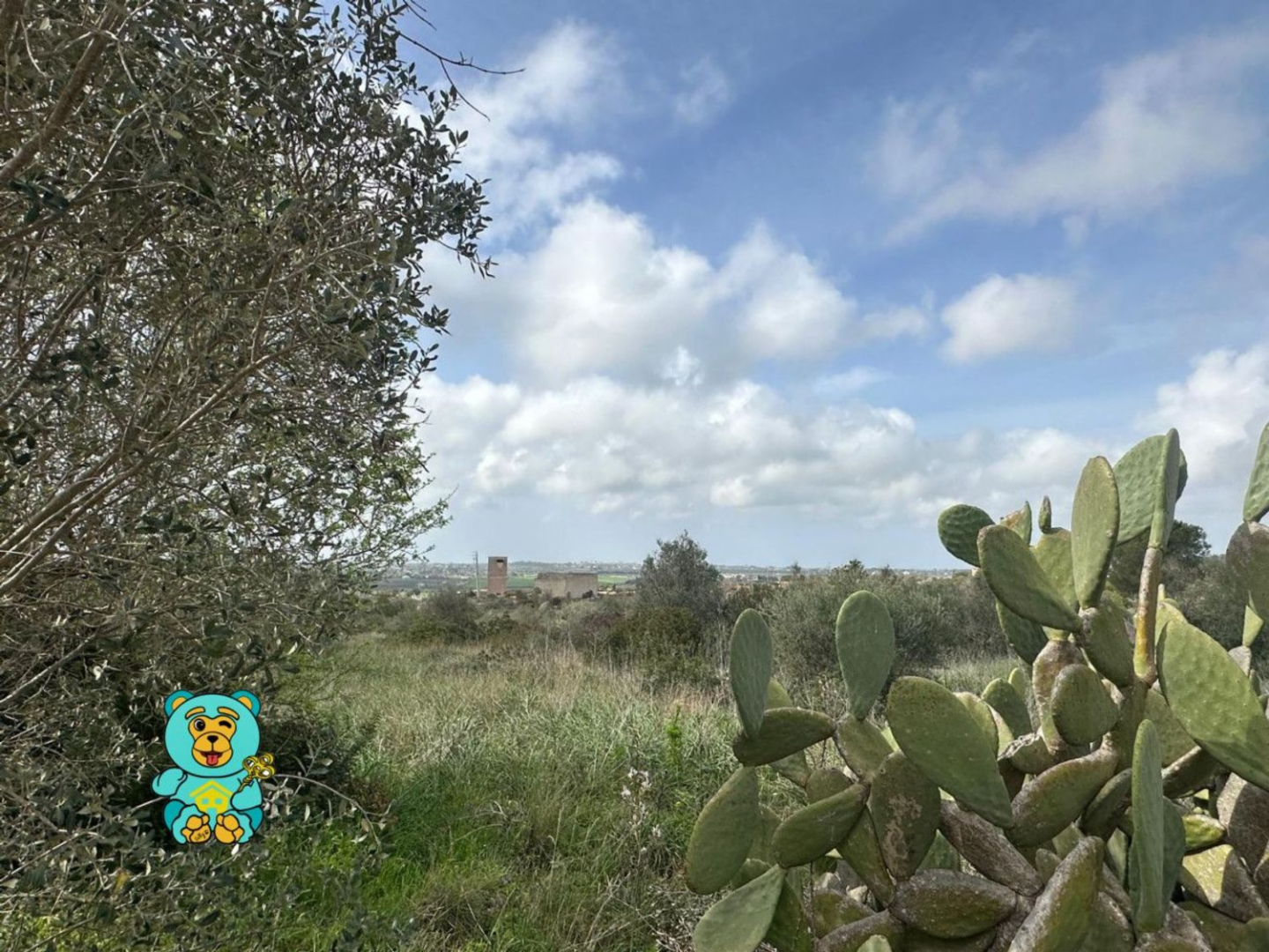 immagine annuncio 4 di 10