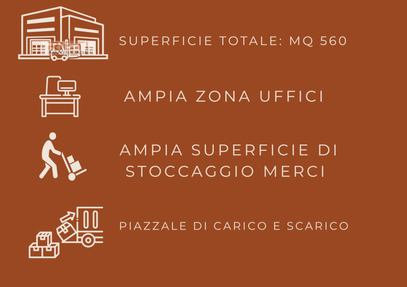 immagine annuncio 4 di 10
