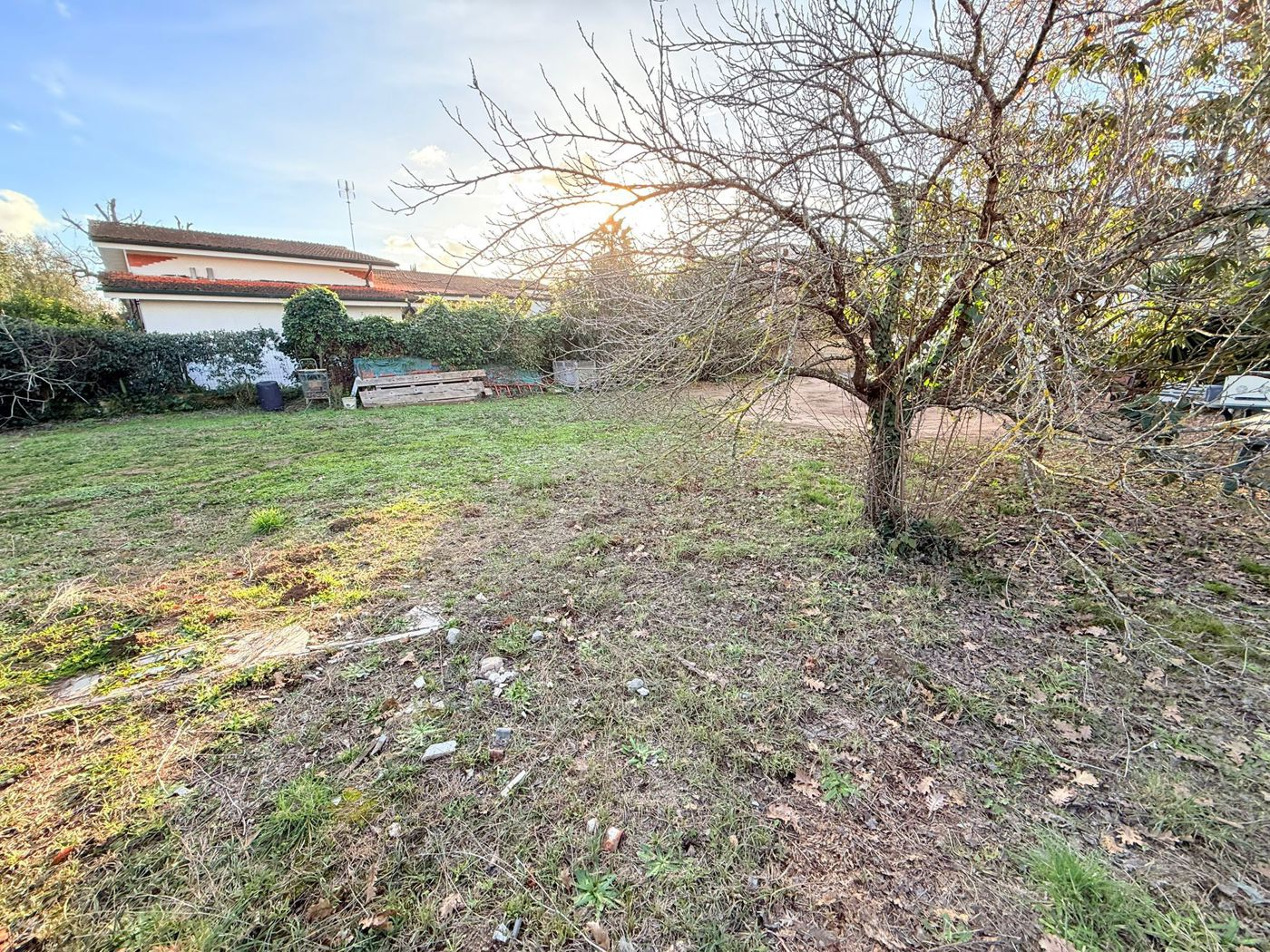 immagine annuncio 6 di 10