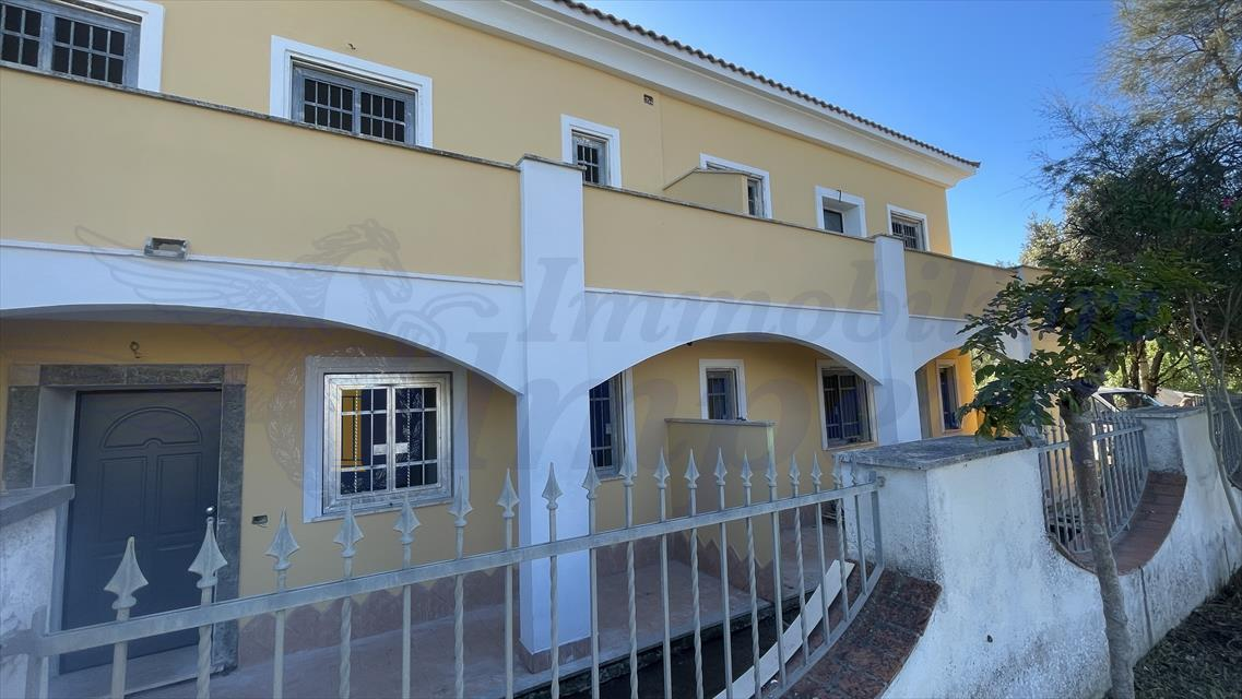 immagine annuncio 4 di 6