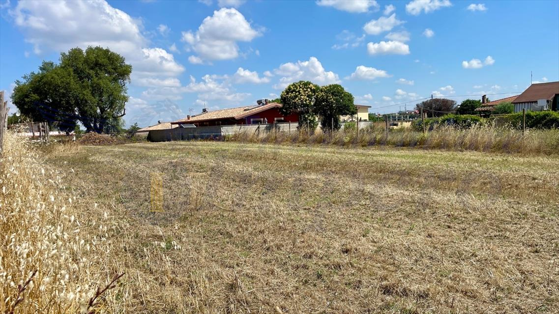 immagine annuncio 6 di 9