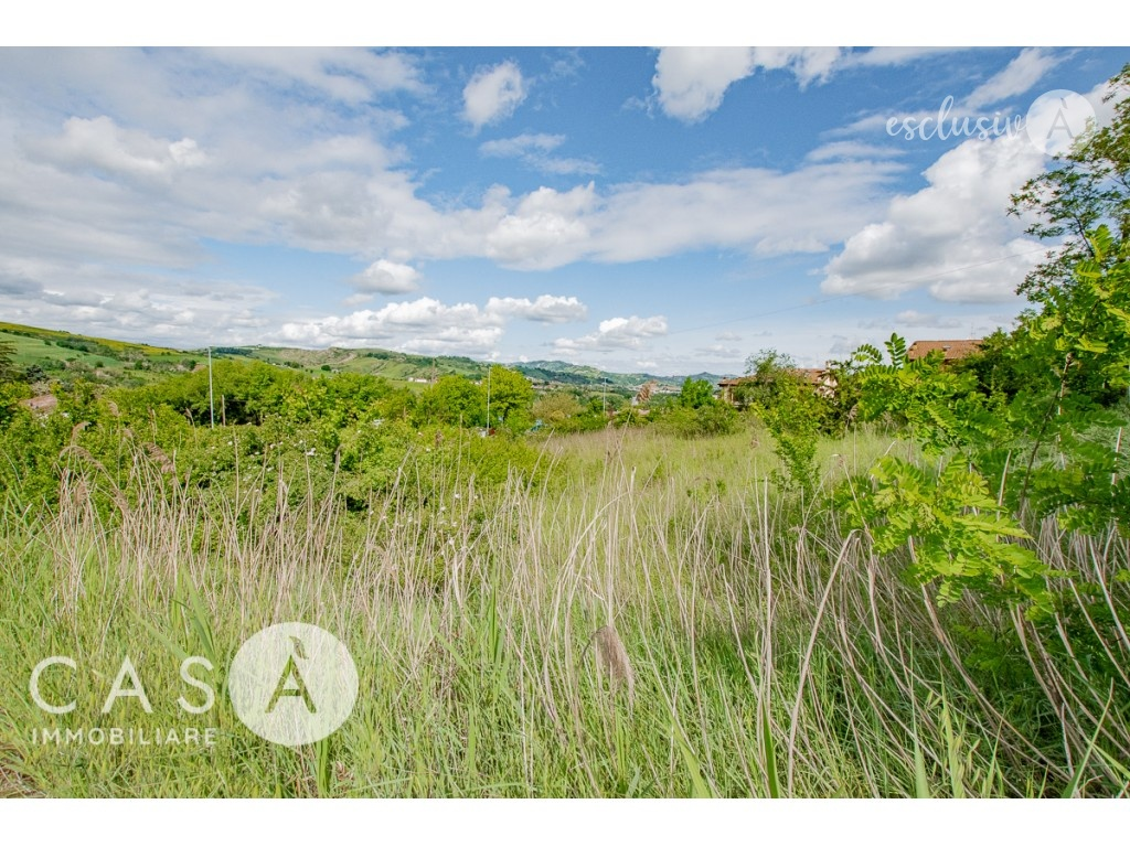 immagine annuncio 2 di 6