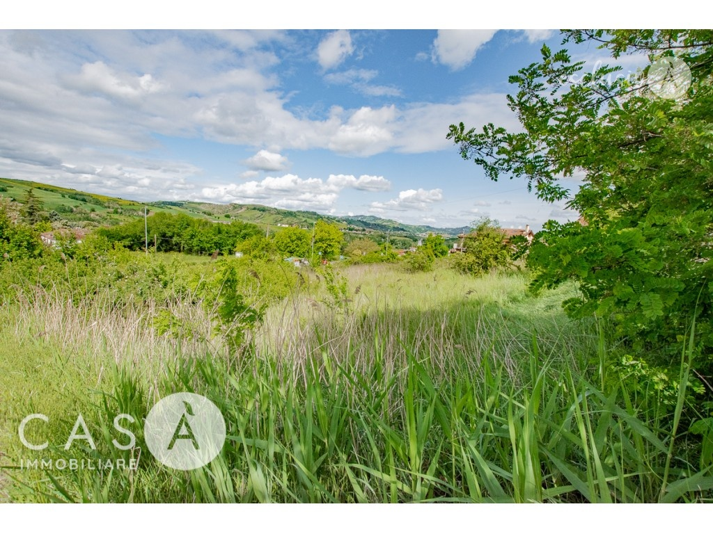 immagine annuncio 3 di 6