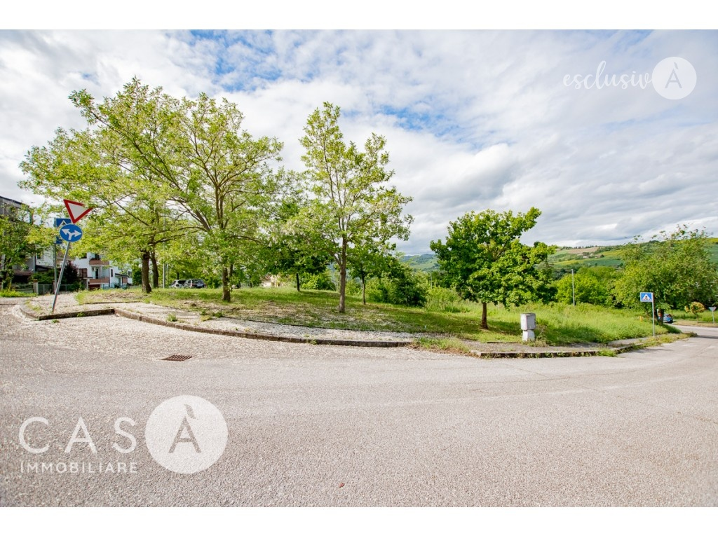 immagine annuncio 4 di 6