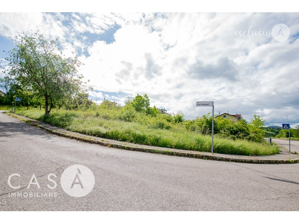 immagine annuncio 5 di 6