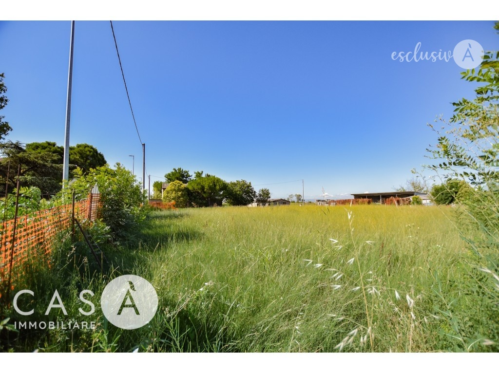 immagine annuncio 1 di 6