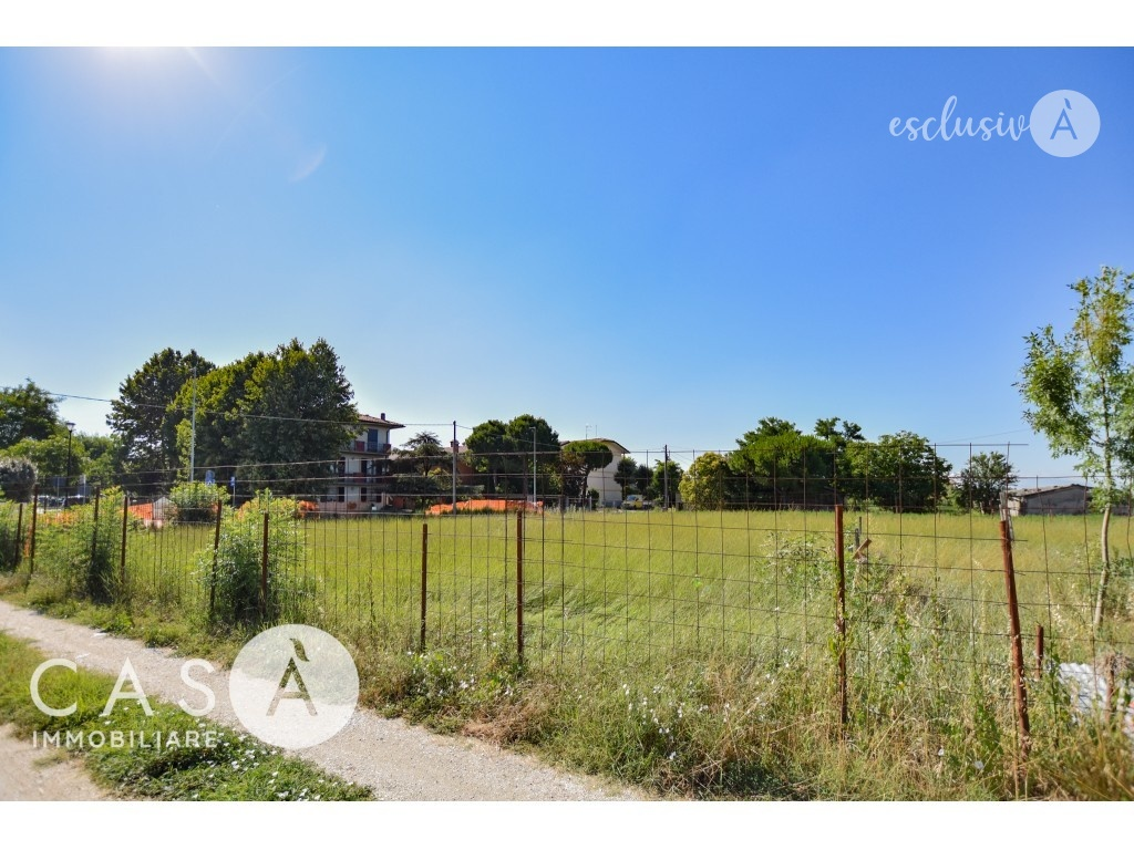 immagine annuncio 2 di 6