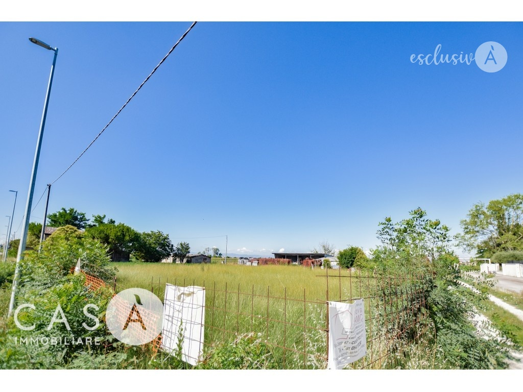 immagine annuncio 3 di 6