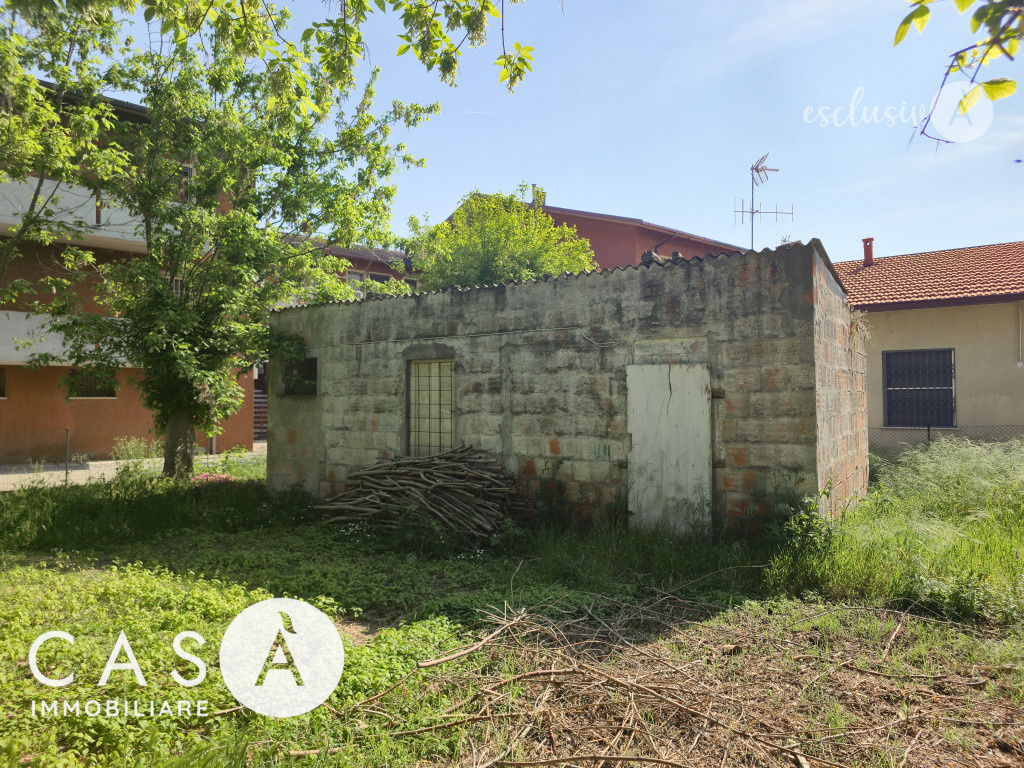 immagine annuncio 2 di 10