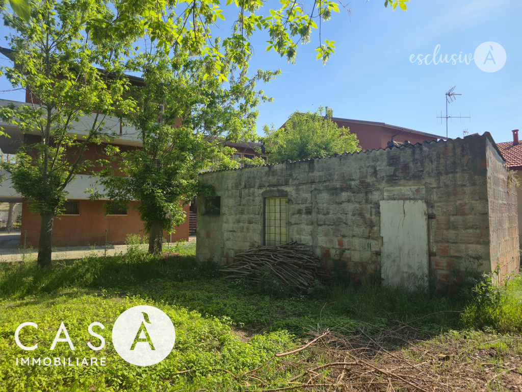 immagine annuncio 3 di 10