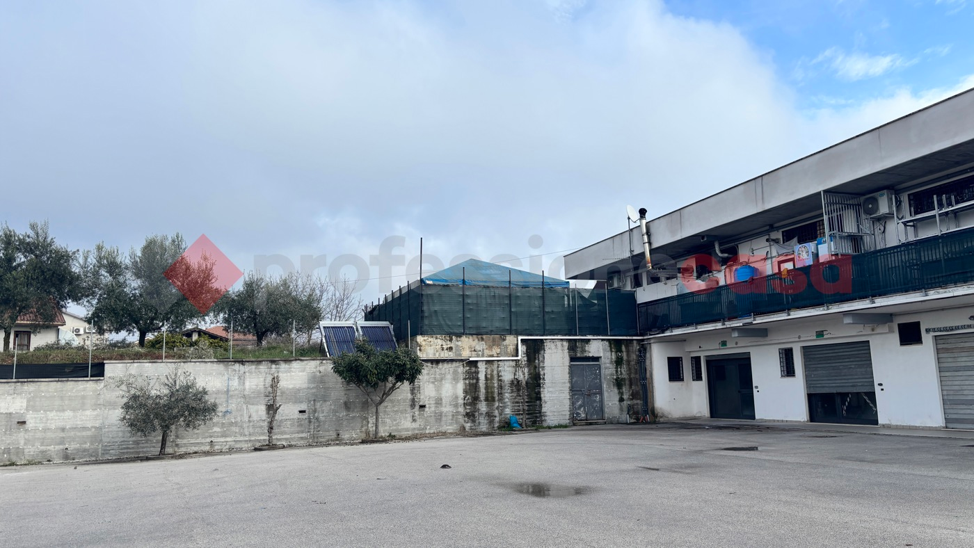 immagine annuncio 2 di 10