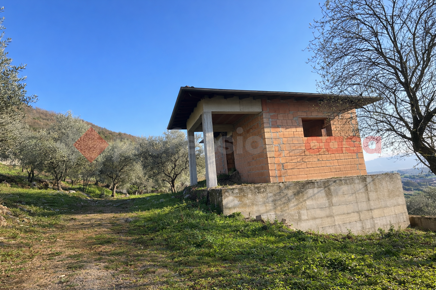 immagine annuncio 7 di 10