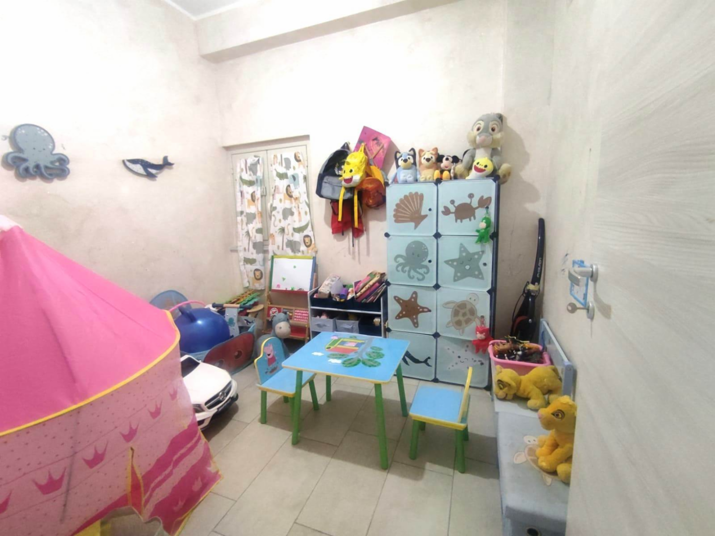 immagine annuncio 7 di 10