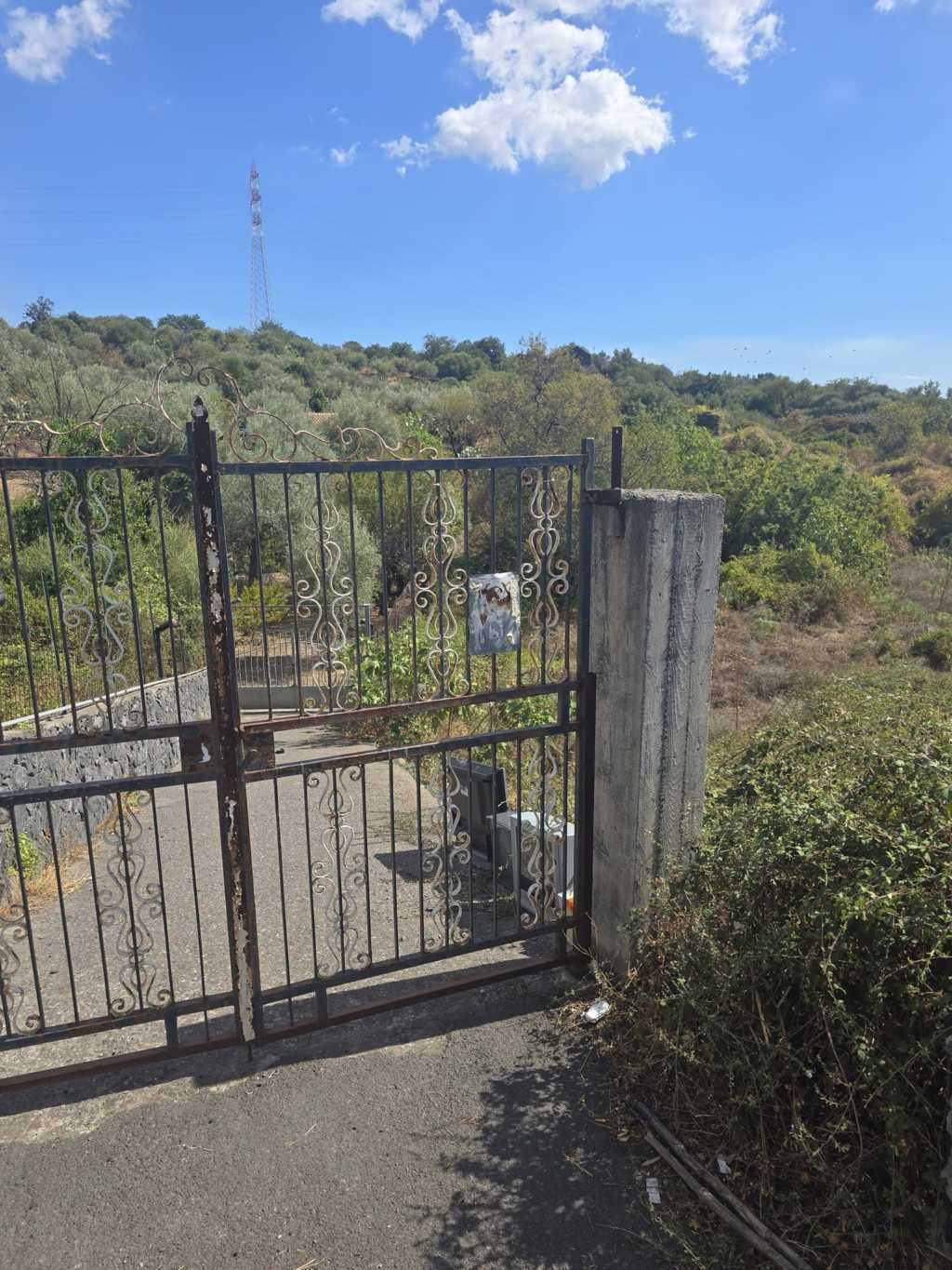 immagine annuncio 2 di 7