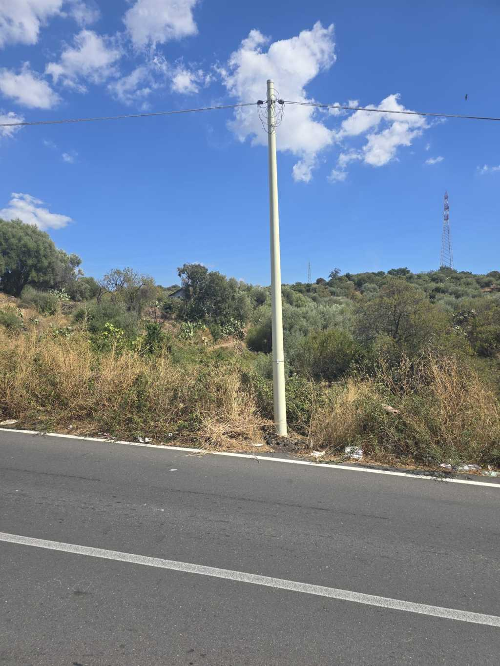 immagine annuncio 6 di 7