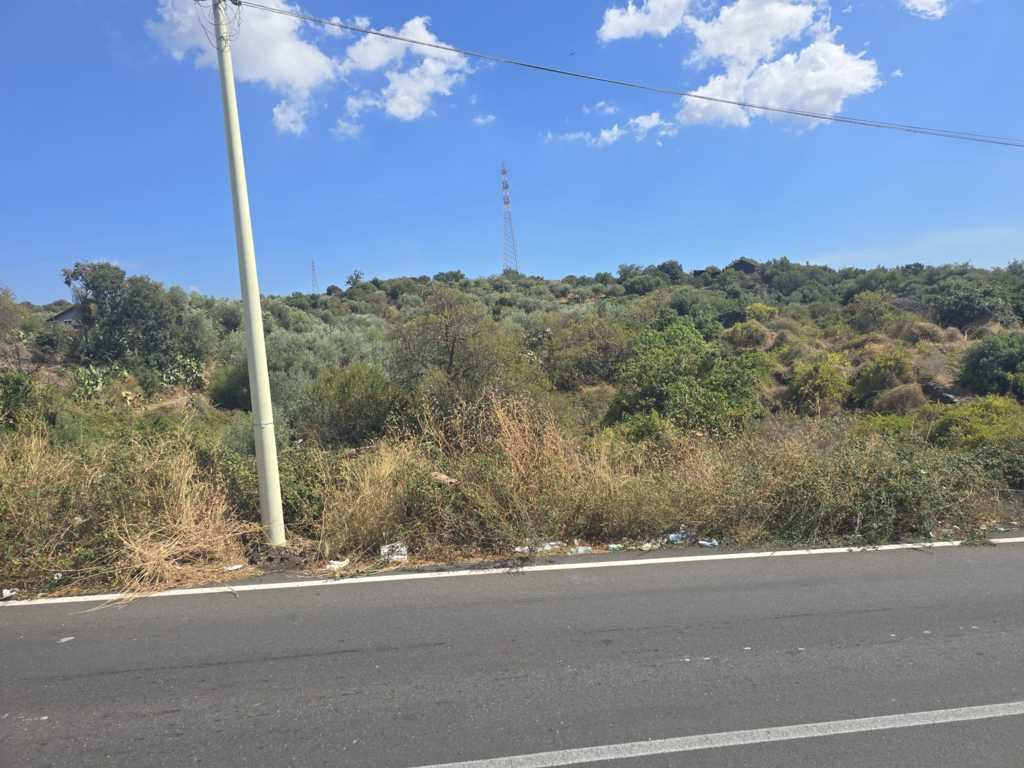 immagine annuncio 5 di 7