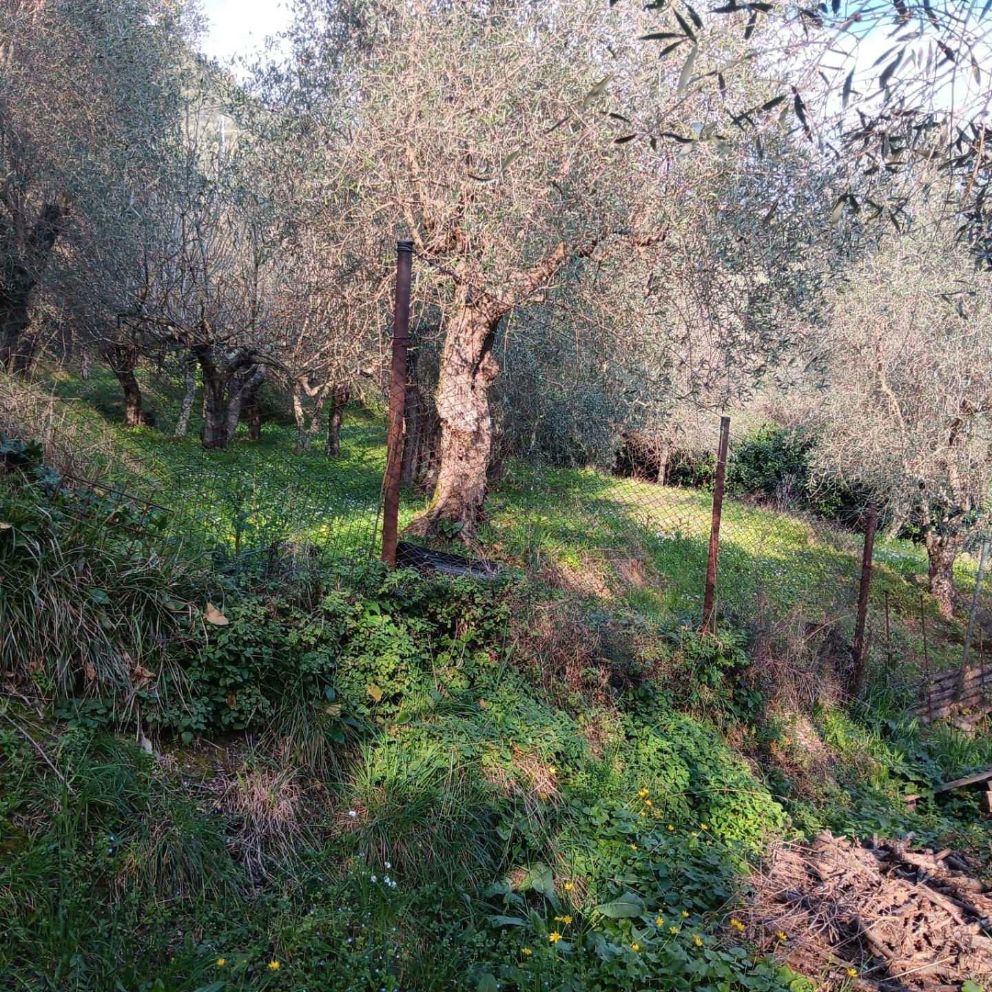 immagine annuncio 1 di 3