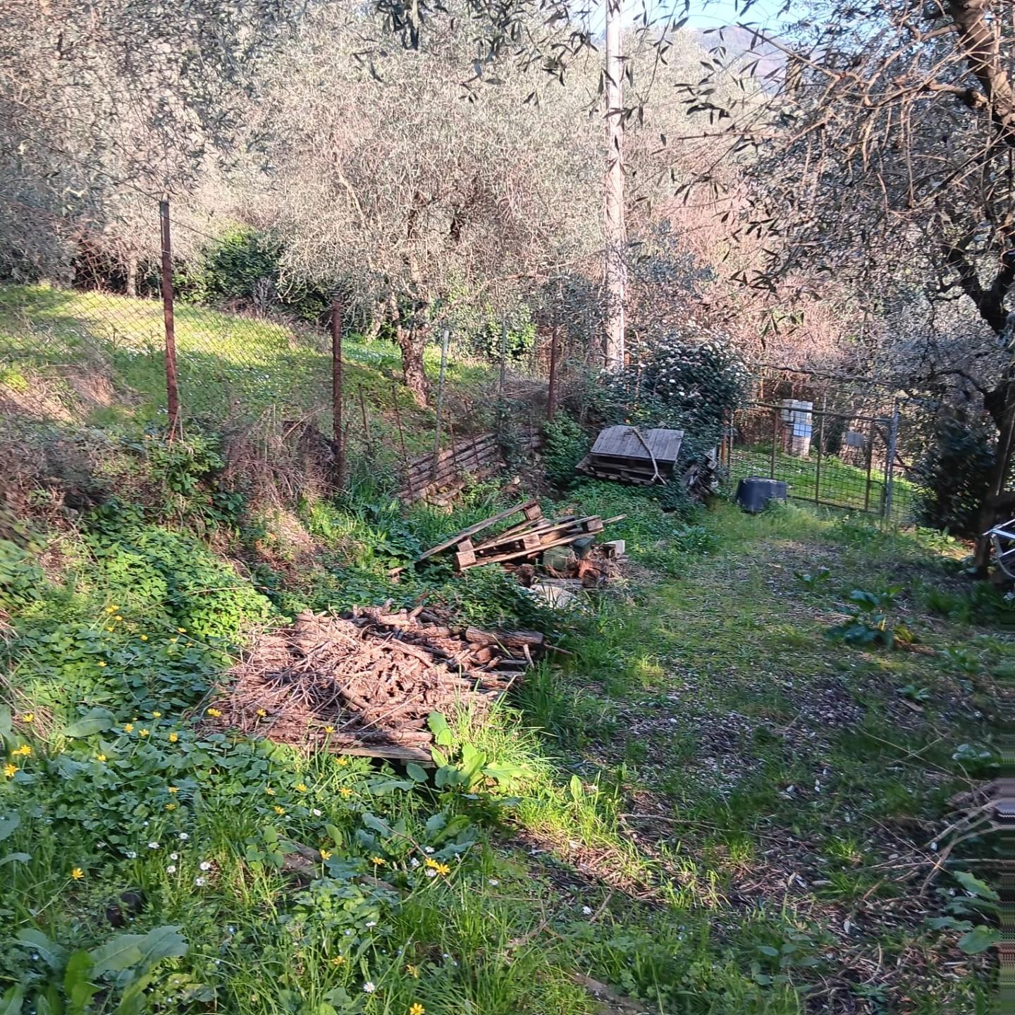 immagine annuncio 2 di 3